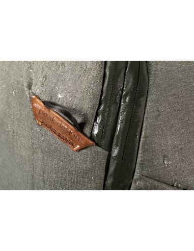 Travel Line Peak Design Travel Backpack 30L Sage