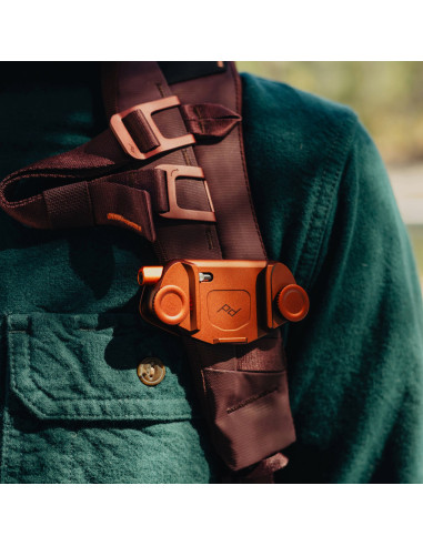 BEDB-20-EP-3+CP-EP-3