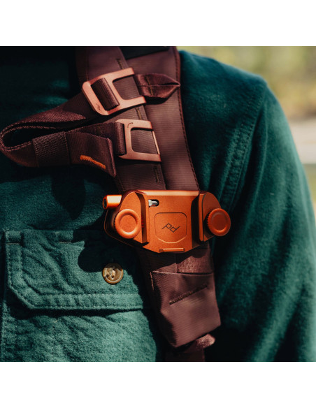 BEDB-20-EP-3+CP-EP-3