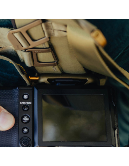 BEDBZ-20-KP-3+CP-KP-3