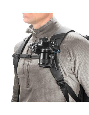 BEDB-20-DS-3 + CP-DS-3