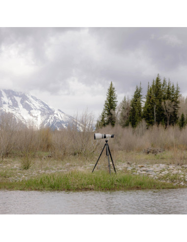 Statyw Peak Design Pro Tripod Tall Black -...